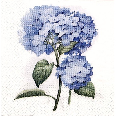 Ubrousek 33x33 cm Hortenzie modrá – Zboží Dáma