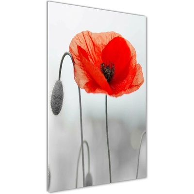Vertikálny foto obraz sklenený Polné maky 50x100 cm