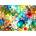 Enjoy - Puzzle The Beauty of Birds - 1 000 piese