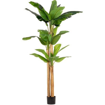 Bizzotto ИЗКУСТВЕНО РАСТЕНИЕ В САКСИЯ banana 280cm (0172969)