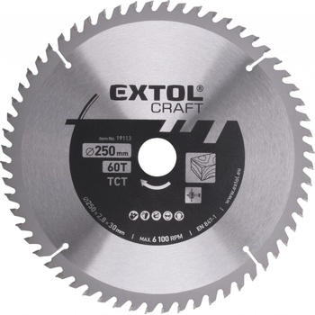 EXTOL CRAFT Kotouč pilový s SK plátky, 250x1,8x30mm, 60T, šířka SK plátku 3,1mm
