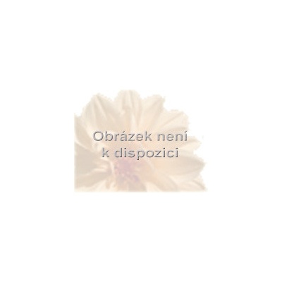 Versace Safran Royal parfumovaná voda unisex 100 ml tester