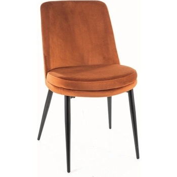 Signal Kayla skořicová