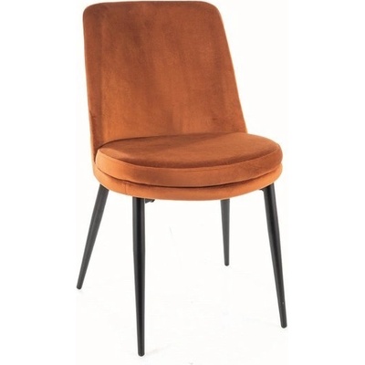 Signal Kayla skořicová