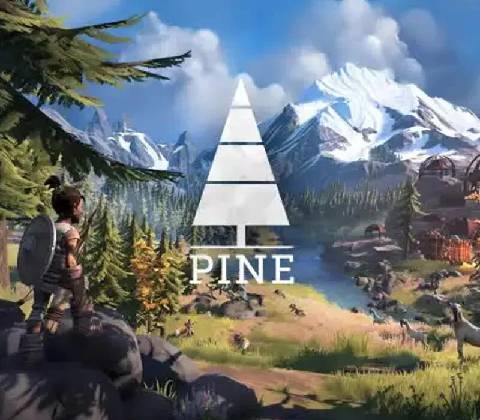 Pine