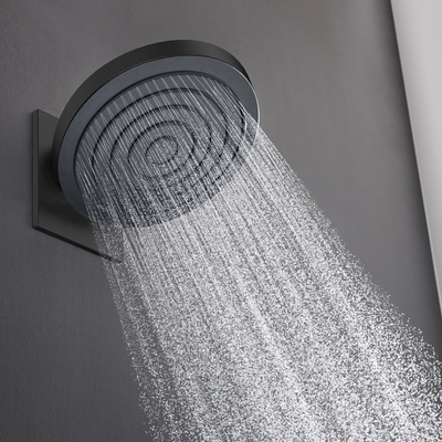 HANSGrohe 24150670