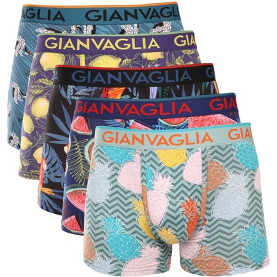 Gianvaglia Набор от пет - мъжки боксерки Gianvaglia многоцветни Gianvaglia | Zelen Mnogotsveten | МЪЖЕ | M