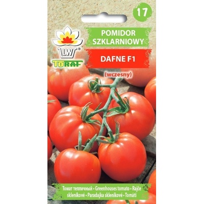 RAJČE DAFNE F1 hybrid SKLENÍKOVÉ, RANÉ /75 SEMEN/