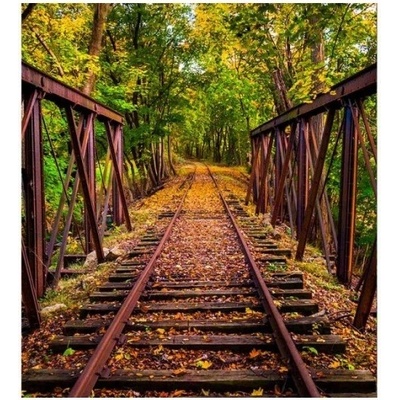 DIMEX MS-3-0055 vliesová fototapeta na zeď Železnice v lese, rozmery 225 x 250 cm