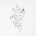 Ólafur Arnalds - A Dawning (CD) (0602478117695)