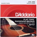 D'addario EFT17