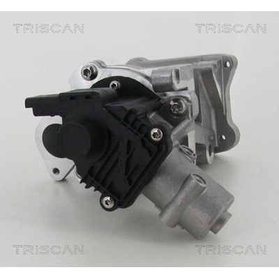 AGR - Ventil TRISCAN 8813 10007