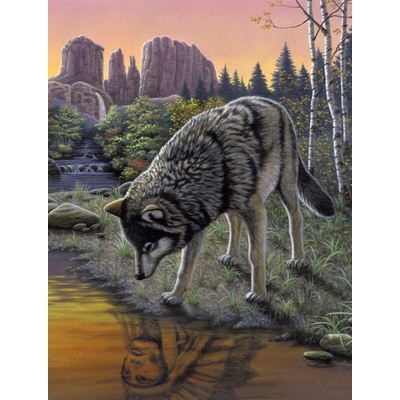 Royal Langnickel malování podle čísel Vlk 22 x 30 cm