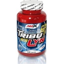 Anabolizéry a NO doplnky Amix TribuLyn 120 kapsúl