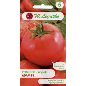 W. Legutko Адам f1 висок домати - плодовете могат да се съхраняват до 3 седмици
