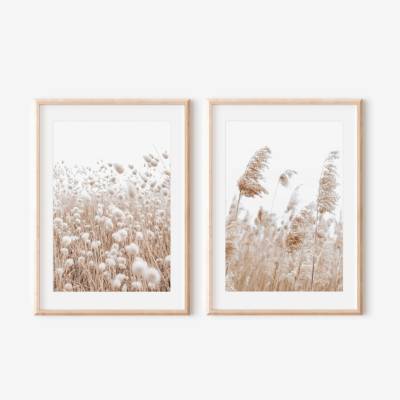 Set 2 obrazů - PAMPAS GRASS Velikost: 21 x 30