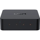 WiiM Pro Plus