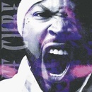 ICE CUBE: WAR & PEACE VOL. 2 CD