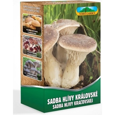 Nohel Garden Hlíva královská máčková 250 ml
