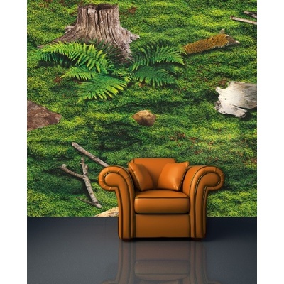 IMPAR Fototapeta Mech Rozměr 87 x 126
