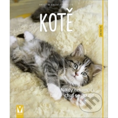 Kotě - Nikdy nekončící chuť se mazlit - Brigitte Eilert-Overbeck