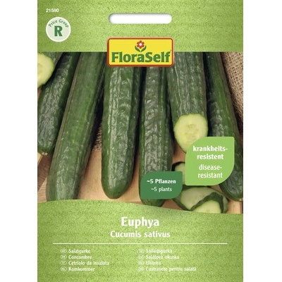 Okurka salátová Euphya FloraSelf F1 hybrid
