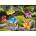 Schmidt Spiele - Puzzle Gelini: Arrival in the Moss Forest - 1 000 piese