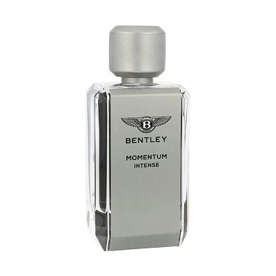 Bentley Momentum Intense parfumovaná voda pánska 60 ml