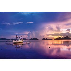 DIMEX ART Флизелинов фототапет тропически залез 375 x 250 см