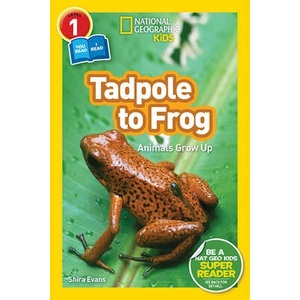 National Geographic Kids Readers: Tadpole to Frog (L1/Co-reader) | Shira Evans (ISBN: 9781426332036)