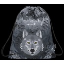 Bagmaster Mercury 9 C Gray/blue/yellow