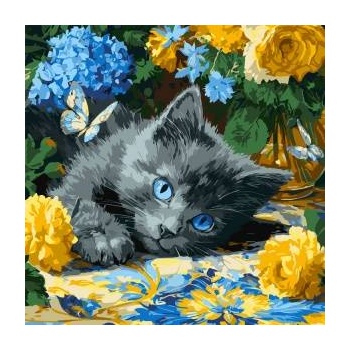 Ideyka Painting by numbers 40 x 40 cm KHO6795 Blue-eyed kitten AP0098