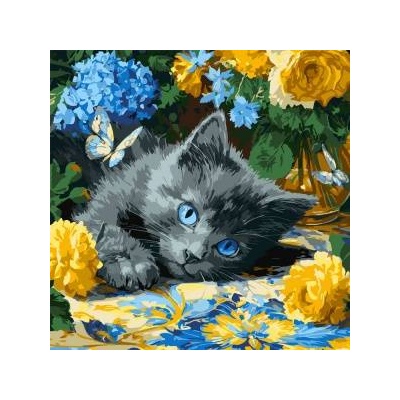 Ideyka Painting by numbers 40 x 40 cm KHO6795 Blue-eyed kitten AP0098
