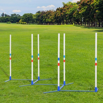 Goleto Agility slalom pre psov