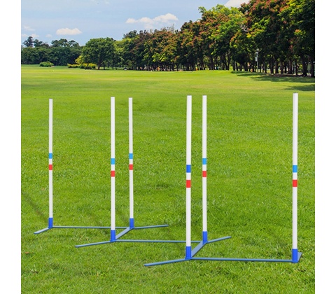 Goleto Agility slalom pre psov