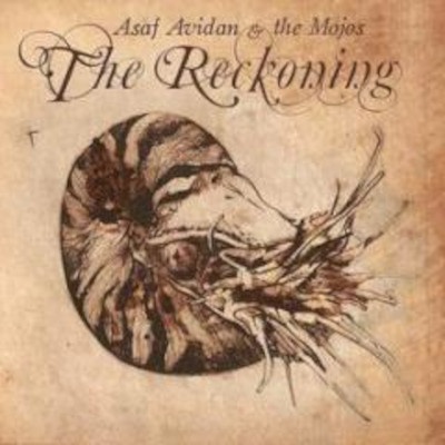 Asaf Avidan - Reckoning LP