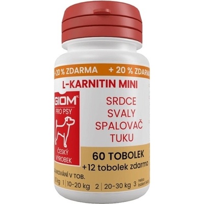 Giom ERA L-karnitin Aktiv mini 60 tbl