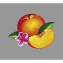 PHOENIX: BANKRUPT! LP