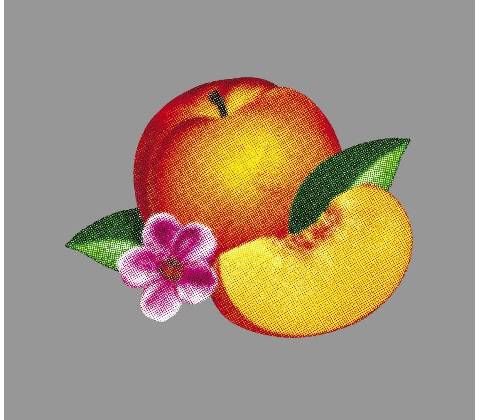 PHOENIX: BANKRUPT! LP