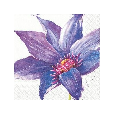 IHR Servítky veľké Clea 33x33cm