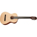 Tanglewood EM E2