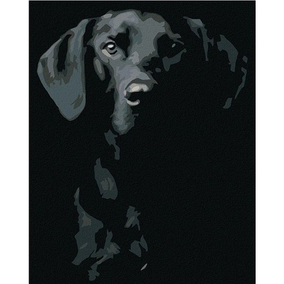 Zuty Malování podle čísel Černobílý pes 80 x 100 cm bez rámu a bez vypnutí plátna