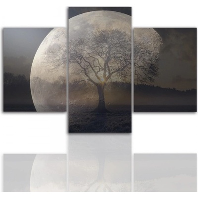 Divio Třídílný obraz na plátně strom, vzor 12267 Velikost: 120x180 cm