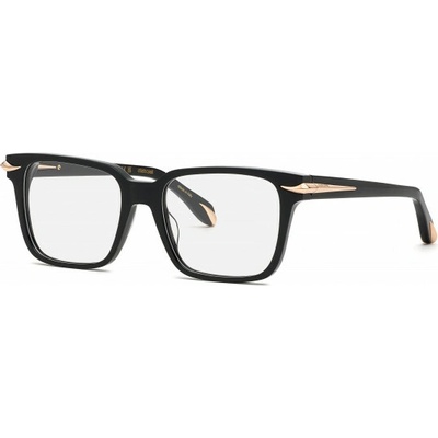 Roberto Cavalli RC019M 0700