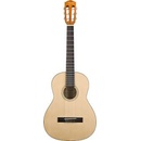 Fender ESC105