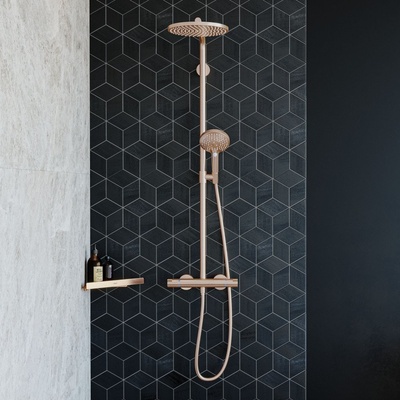 Hansgrohe Raindance 27633140