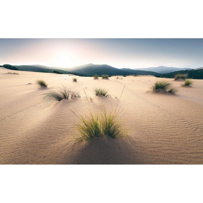 Komar Vliesová fototapeta Vivid Dunes 450 x 280 cm