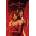 Image Comics Sunstone Volume 1 | Stjepan Sejic