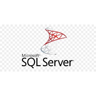 Microsoft SQL Server 2022 - 1 User CAL
