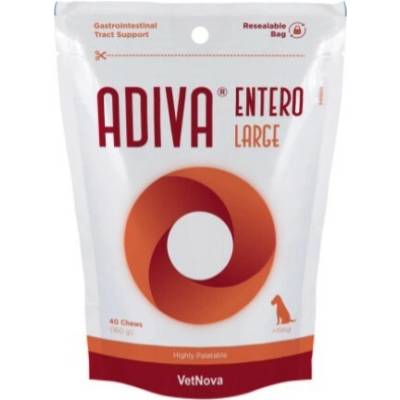 Vitamed Pharma Česko Doplněk pro psy na trávení ADIVA Entero Large Dogs 40 tbl
